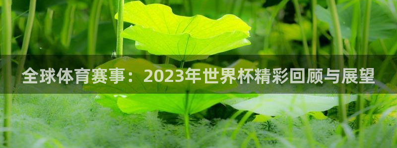 世界杯预选赛:全球体育赛事:2023年世界杯精彩回顾与展望