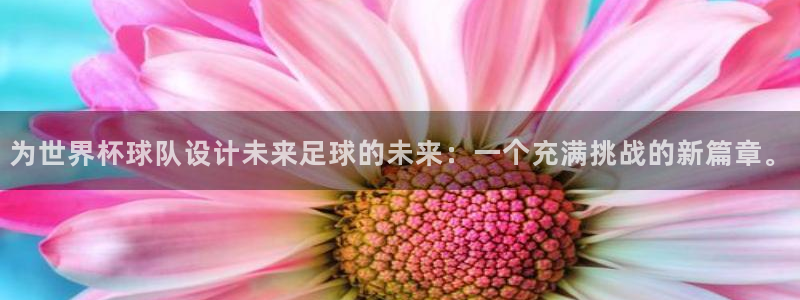 世界杯足球赛:为世界杯球队设计未来足球的未来:一个充满挑战的新篇章。