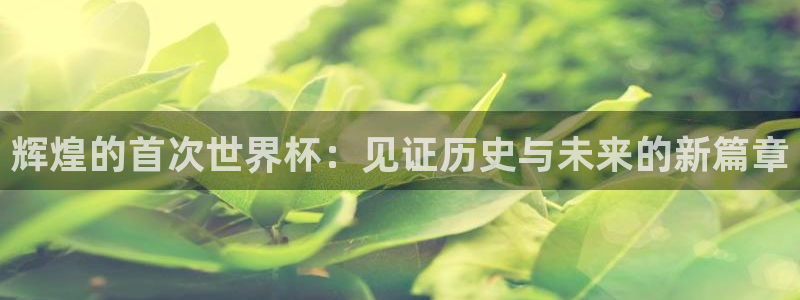 世界杯预选赛欧洲赛区积分榜:辉煌的首次世界杯:见证历史与未来的新篇章