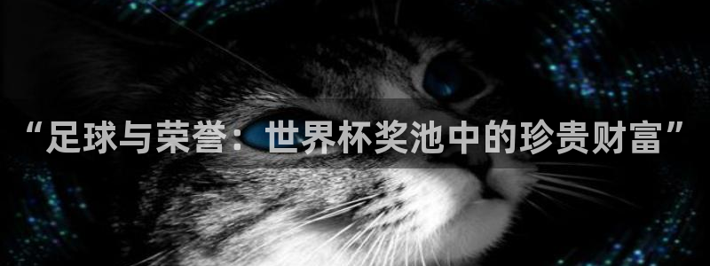 世界杯亚洲区预选赛积分榜:“足球与荣誉:世界杯奖池中的珍贵财富”